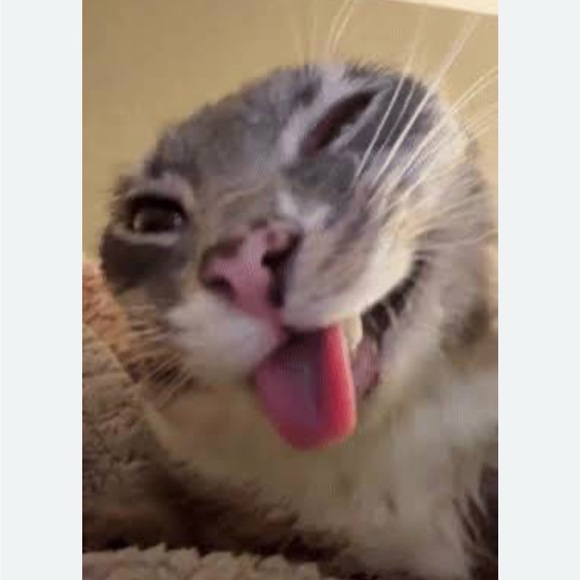henryki